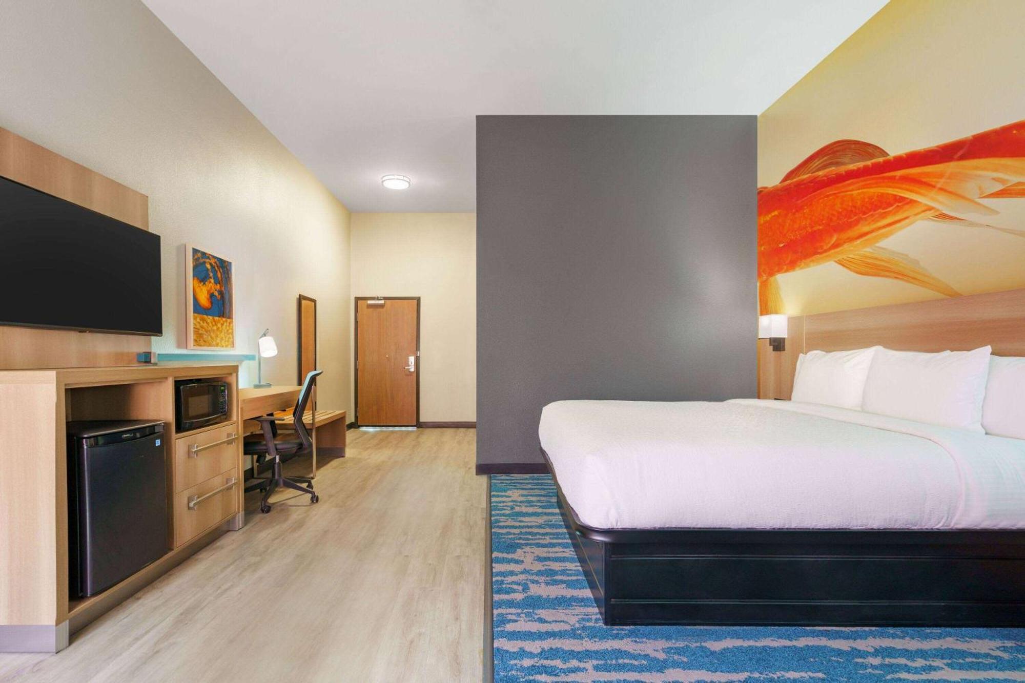 La Quinta Inn & Suites By Wyndham San Antonio Seaworld Lafb 외부 사진
